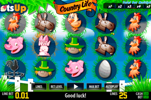 country life hd world match casino slots
