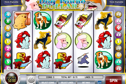 dog pound dollars rival casino slots