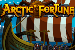 Enjoy Arctic Fortune For Free With No Download
