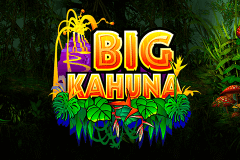 Free Slots Games Big Kahuna Free Slots Games Big Kahuna