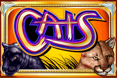 Cats Casino Game