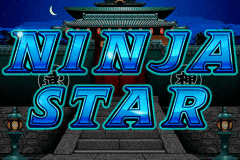 logo ninja star rtg slot game
