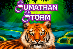 Igt Slots Sumatran Storm