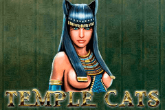 logo temple cats endorphina
