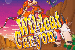logo wild cat canyon nextgen gaming slot game