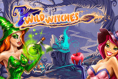 WILD WITCHES NETENT SLOT GAME
