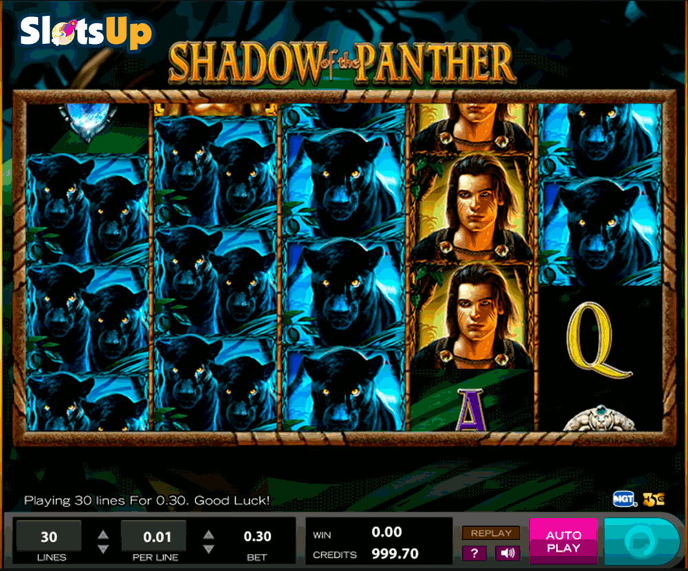 Shadow Of The Panther Slot Machine