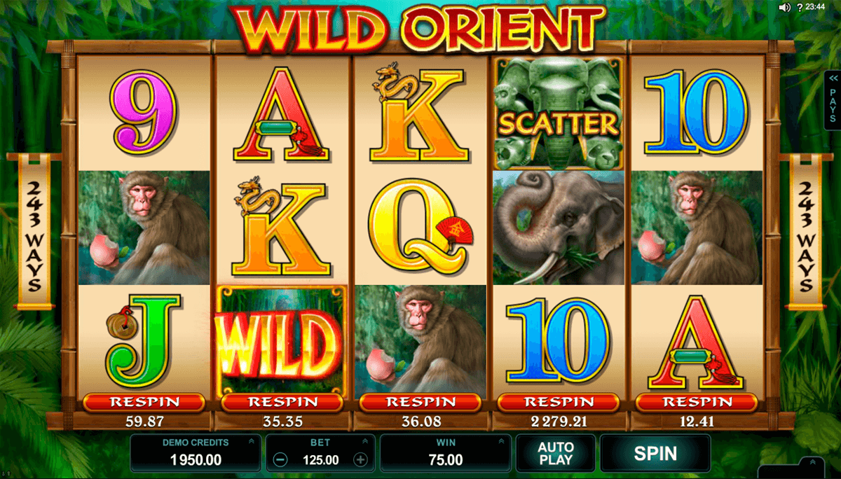 messena new york casino