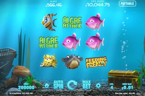 Fish Tank Slots - Play Real Casino Slot Machines Online Fish Tank Slots - Play Real Casino Slot Machines Online