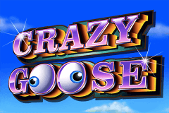 CRAZY GOOSE AINSWORTH SLOT GAME