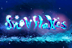 logo snowflakes nextgen gaming slot game