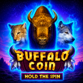 Buffalo Coin Hold The Spin logo