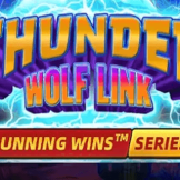Thunder Wolf Link logo