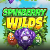 Spinberry Wilds logo