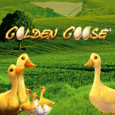 Golden Goose logo