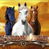 Storm Rider logo