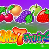 Wild 7 Fruits logo