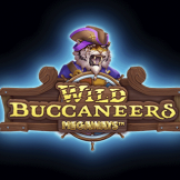 Wild Buccaneers logo