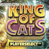 King of Cats logo