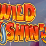Wild Fishin Wild Ways logo