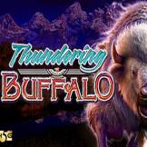 Thundering Buffalo logo