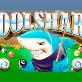 Pool Shark logo