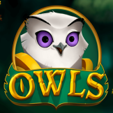 Owls logo