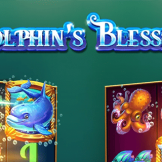 Dolphin’s Blessing logo