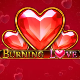 Burning Love logo
