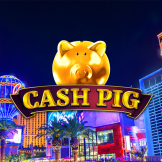 Cash Pig logo