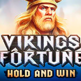 Vikings Fortune: Hold and Win logo