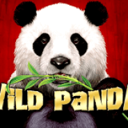 Bonusar på Panda Casino: Vad som finns att hämta