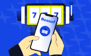 What is Neosurf: Detailed Guide, Fees, and Tips img