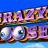 Crazy Goose logo