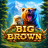 Big Brown logo