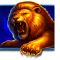 Lion img