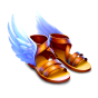 Shoe img