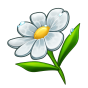 Flower img