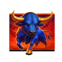 Bull img