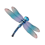 Dragonfly img
