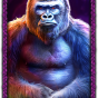 Gorilla img