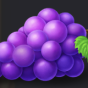 Grape img