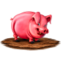 Pig img