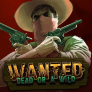Wanted Dead or a Wild logo