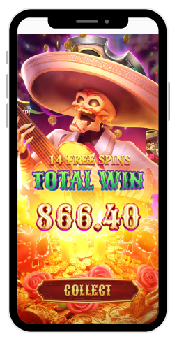 Wild Bandito Total Win