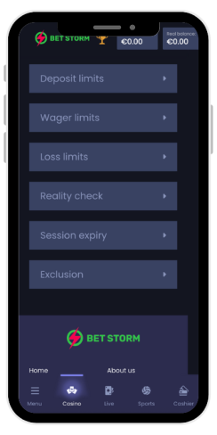 How the responsible gaming tools in an online casino Betstorm looks