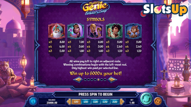 Mystery Genie Fortunes of the Lamp