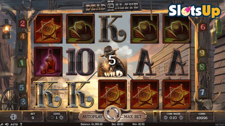 Dead or Alive 2 slot