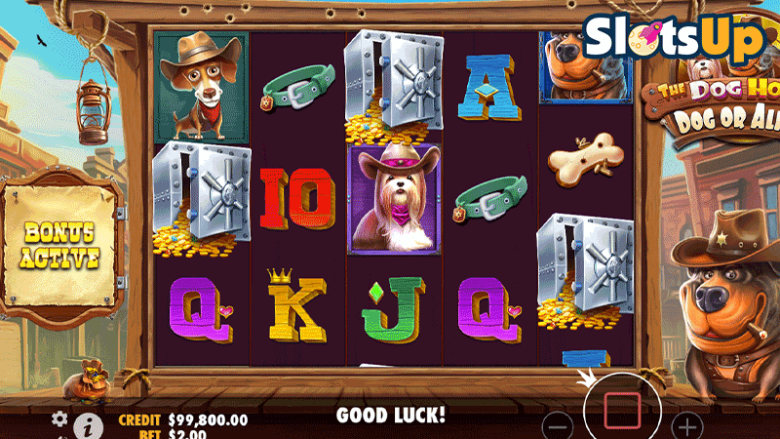 The Dog House – Dog or Alive