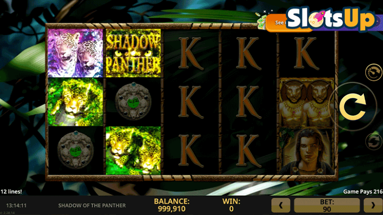 Shadow of the Panther